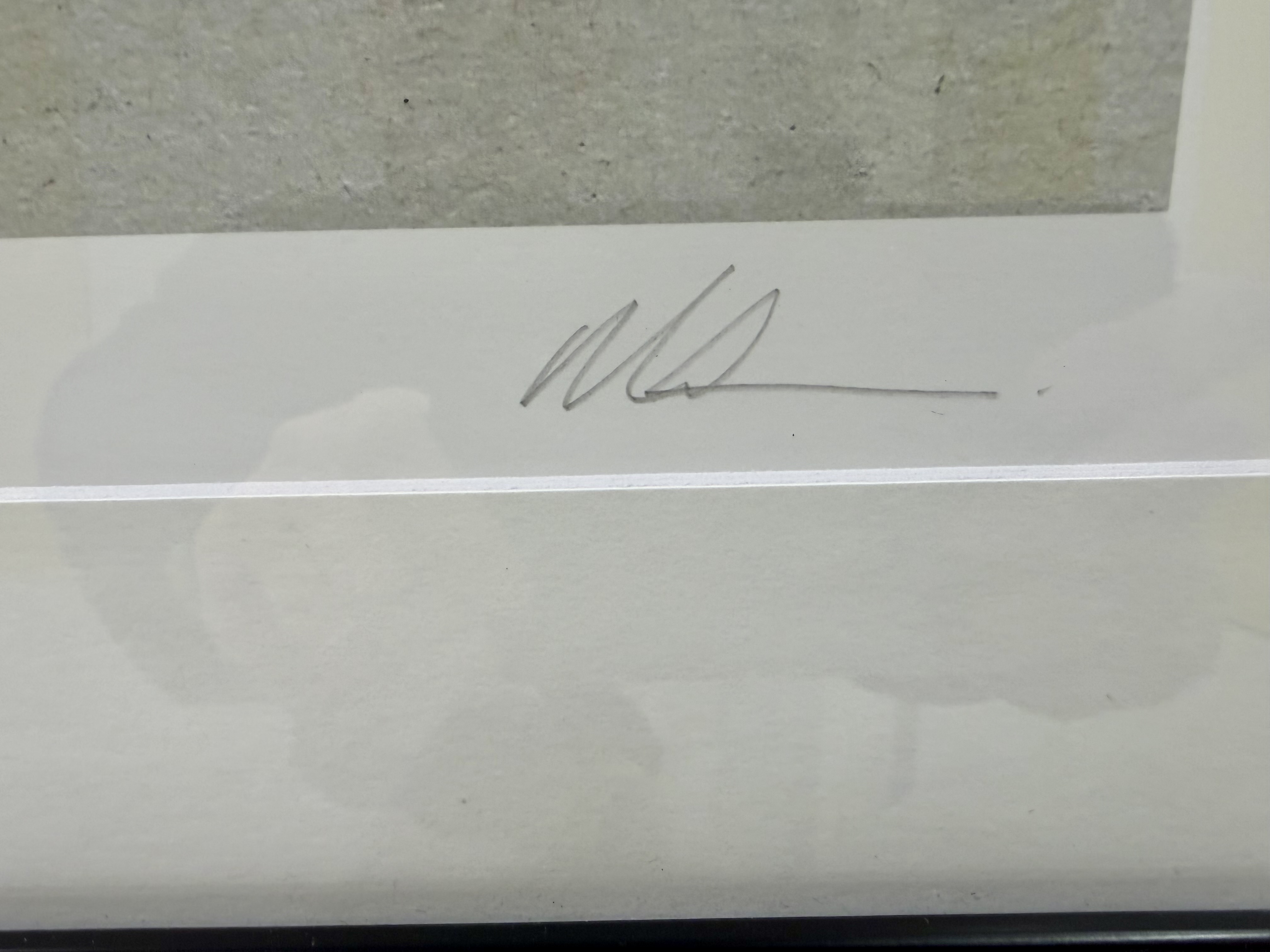 David Mach RA (b.1956), Scottish