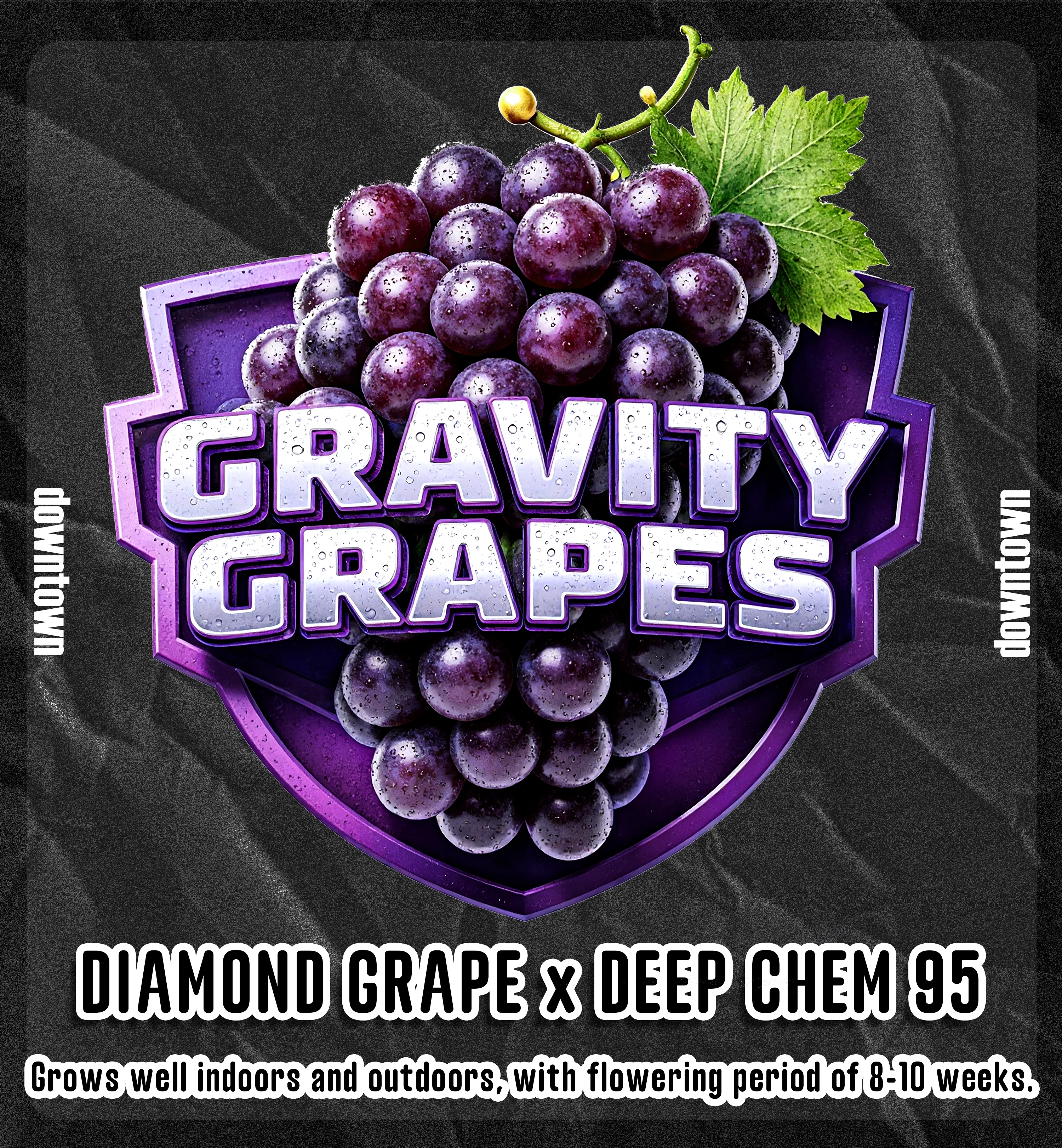 GRAVITY GRAPES