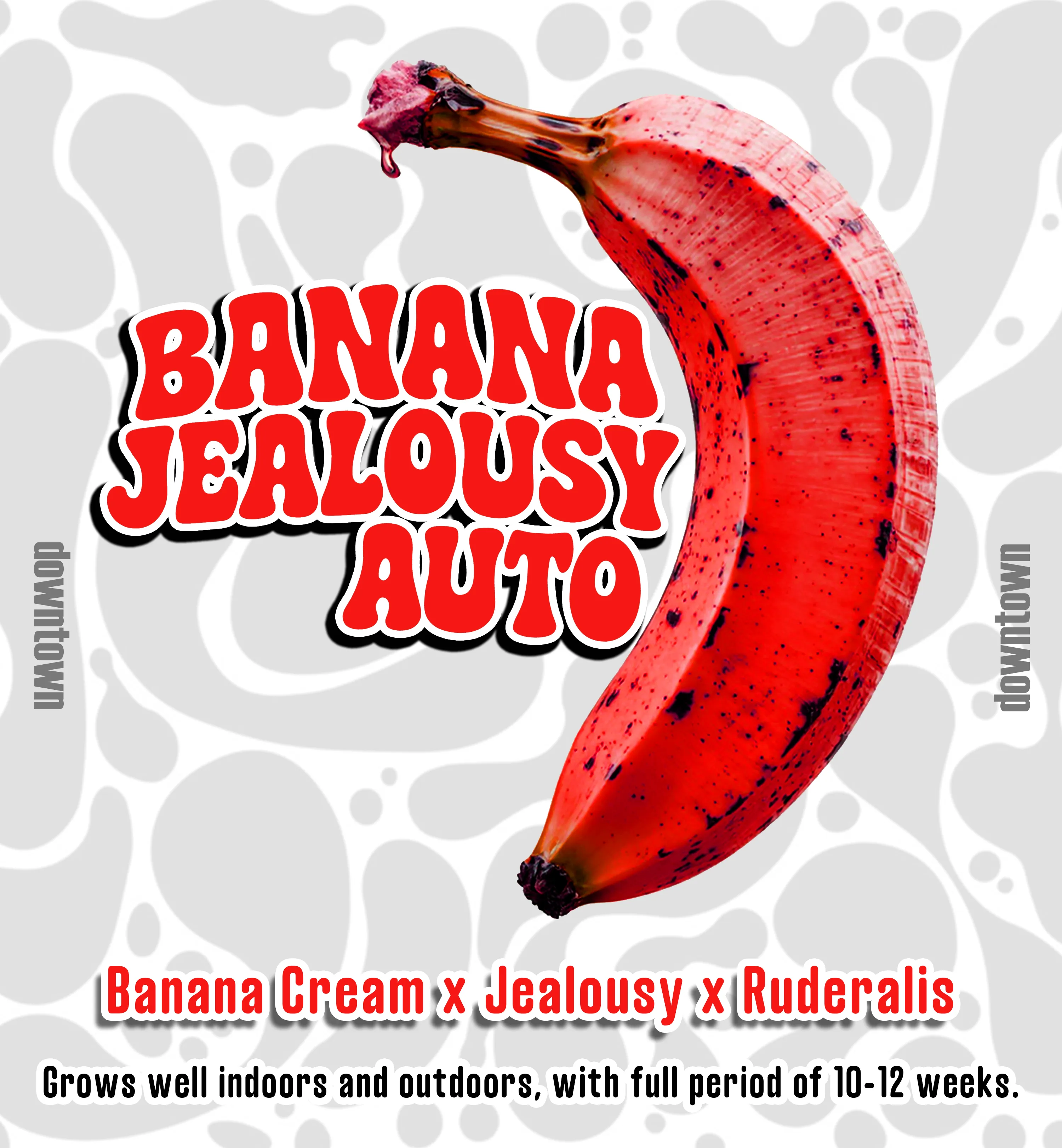 BANANA JEALOUSY AUTO