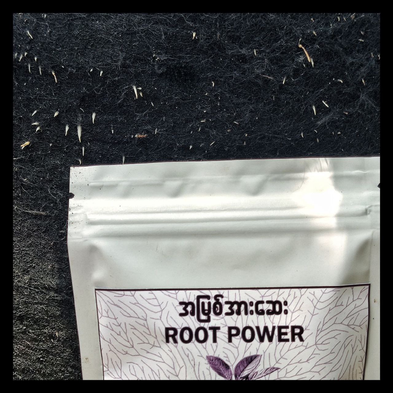 ROOT POWER