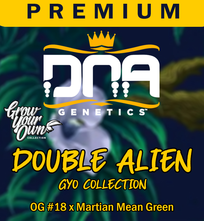 DOUBLE ALIEN (GYO Collection)