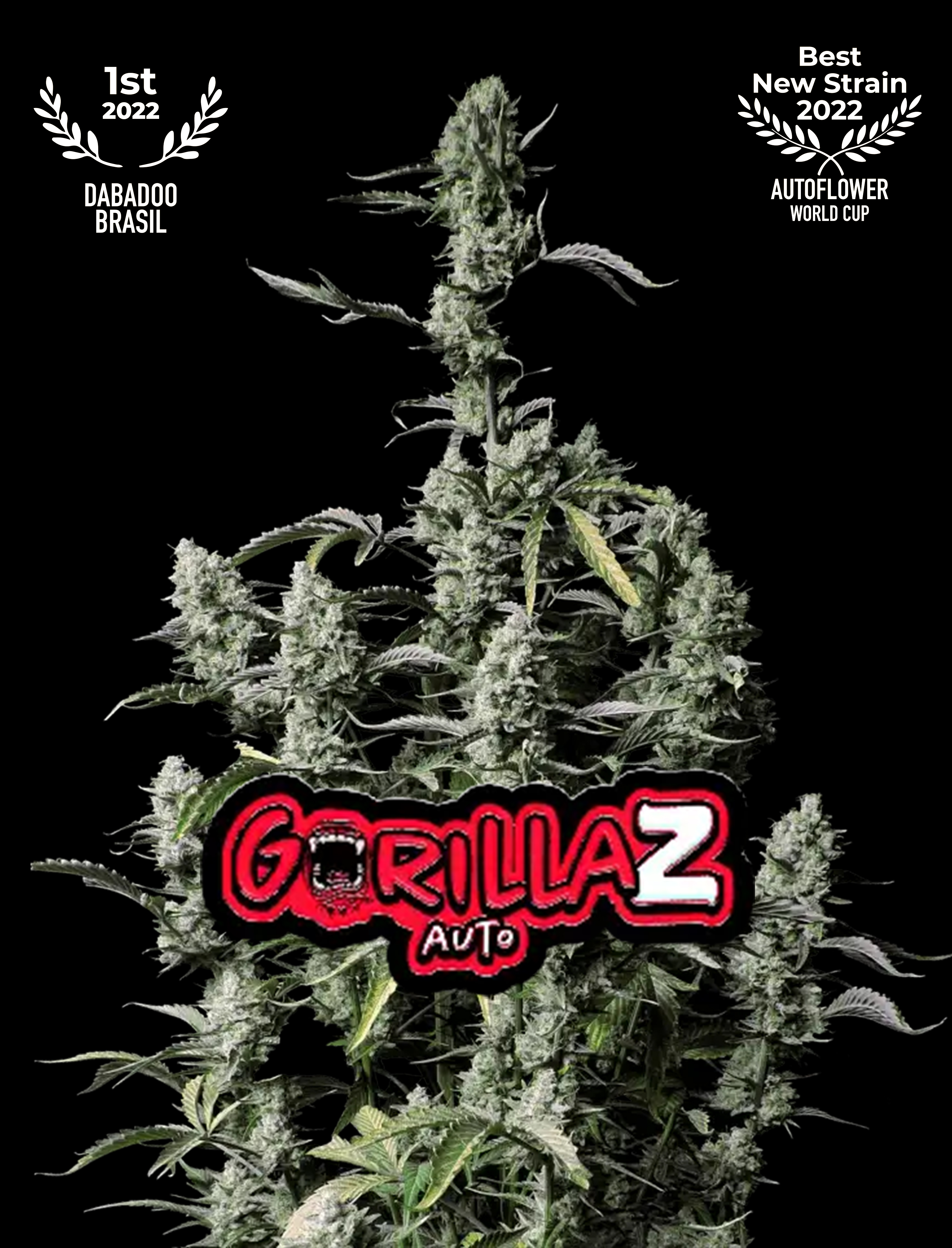 PURPLE LEMONADE AUTO