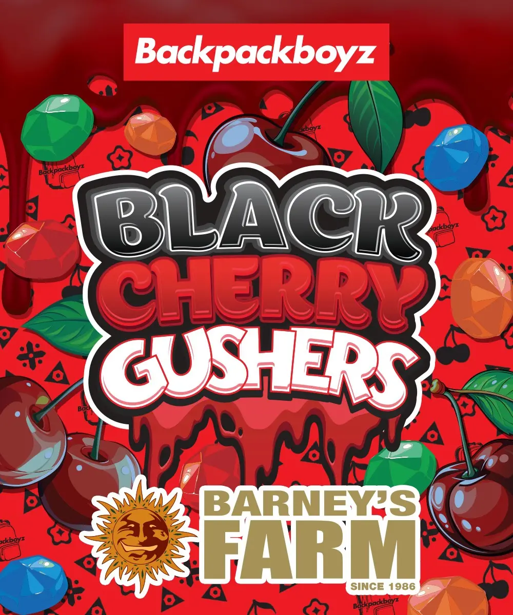 BLACK CHERRY GUSHERS