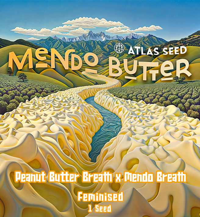 MENDO BUTTER