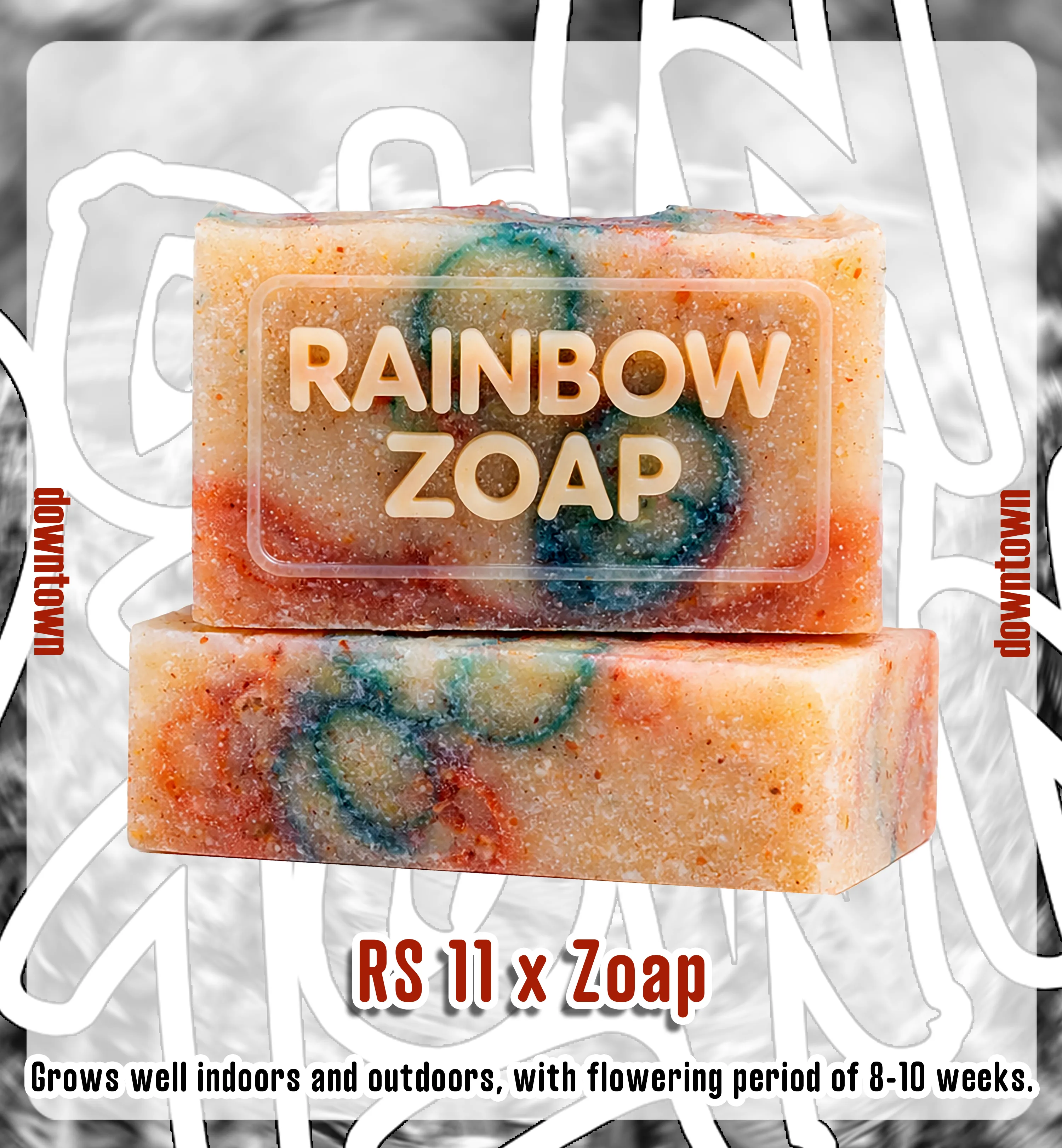 RAINBOW ZOAP