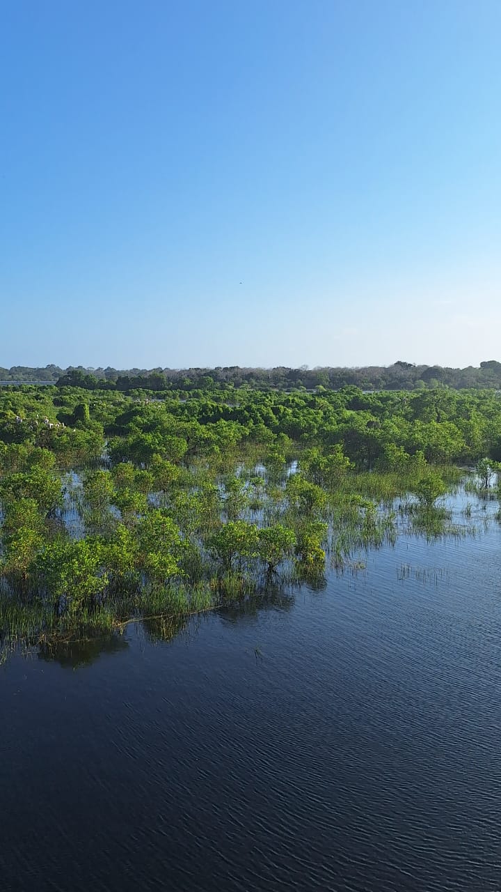 Tuk-Tuk Safari (2 Hours)
