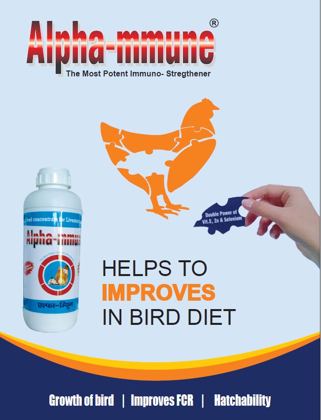 Alpha-mmune Bird Diet Supplement