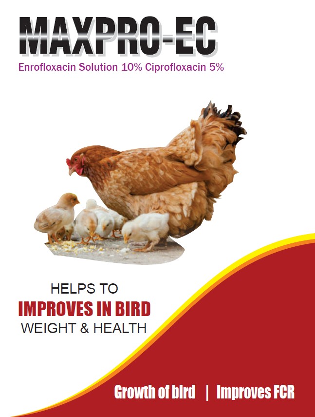 MAXPRO-EC Enrofloxacin Solution
