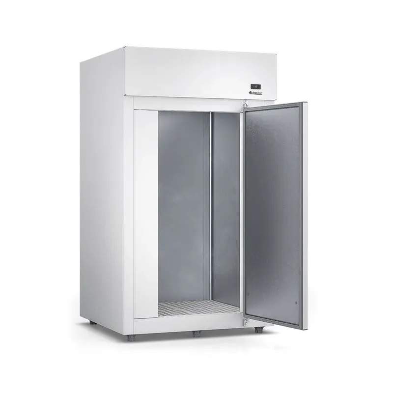 Mini câmara de congelados 