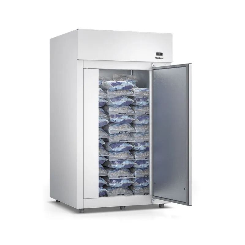 Mini câmara de congelados 