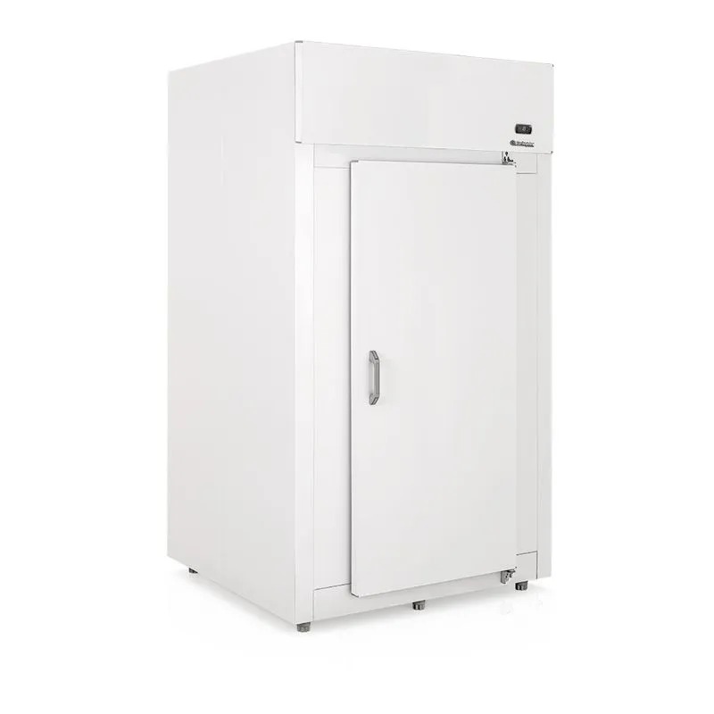 Mini câmara de congelados 