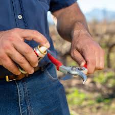 Spray Lubricante FELCO 980