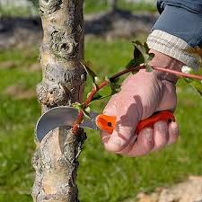 Navaja de Podar Bahco P20