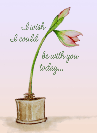 I wish I could be with you today...