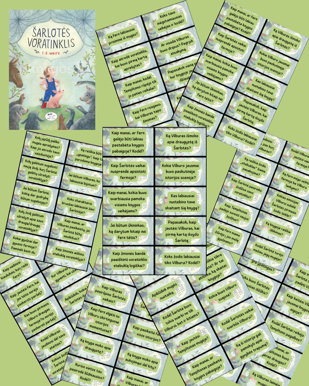 „Šarlotės voratinklis“ – teksto suvokimo klausimų kortelės