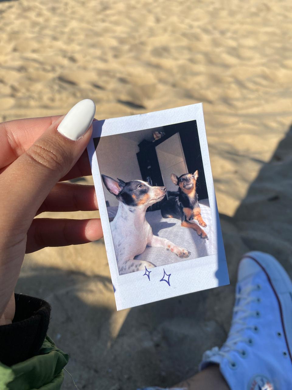 Foto Polaroid 
