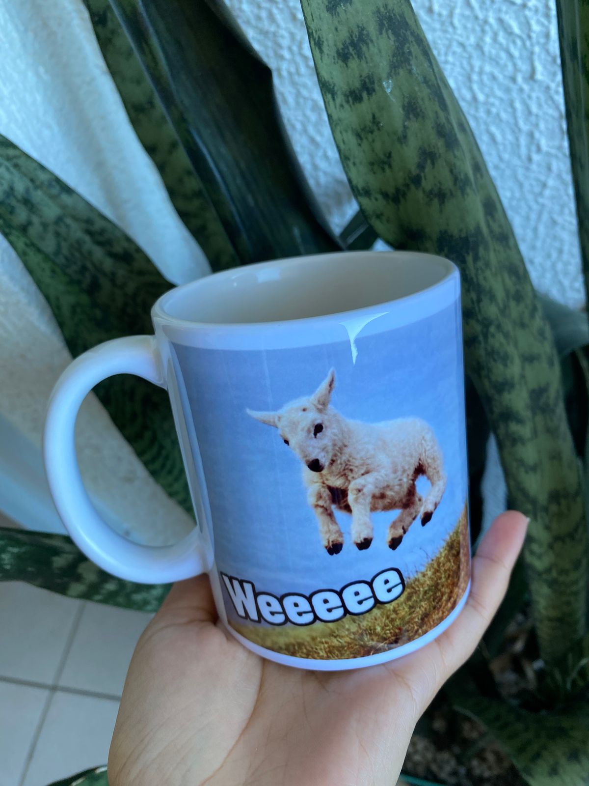 Caneca Personalizada 