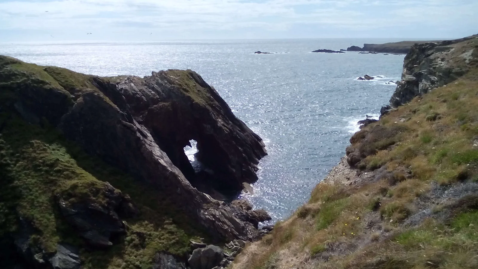 Four Mile Bridge to Trearddur Bay Coastal Guided Walk