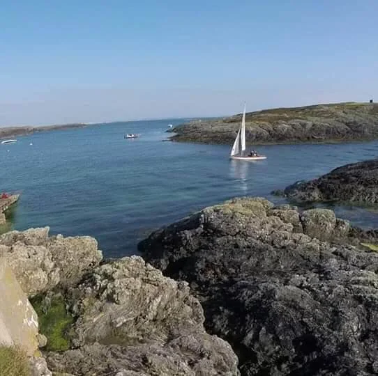 Rhoscolyn to Trearddur Bay Guided walk