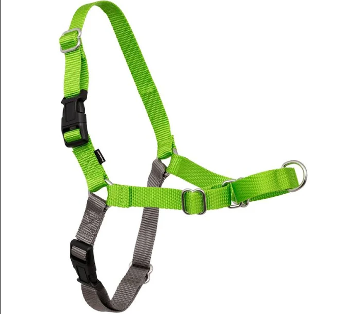 PetSafe Easy Walk Harness for Dogs No‑Pull