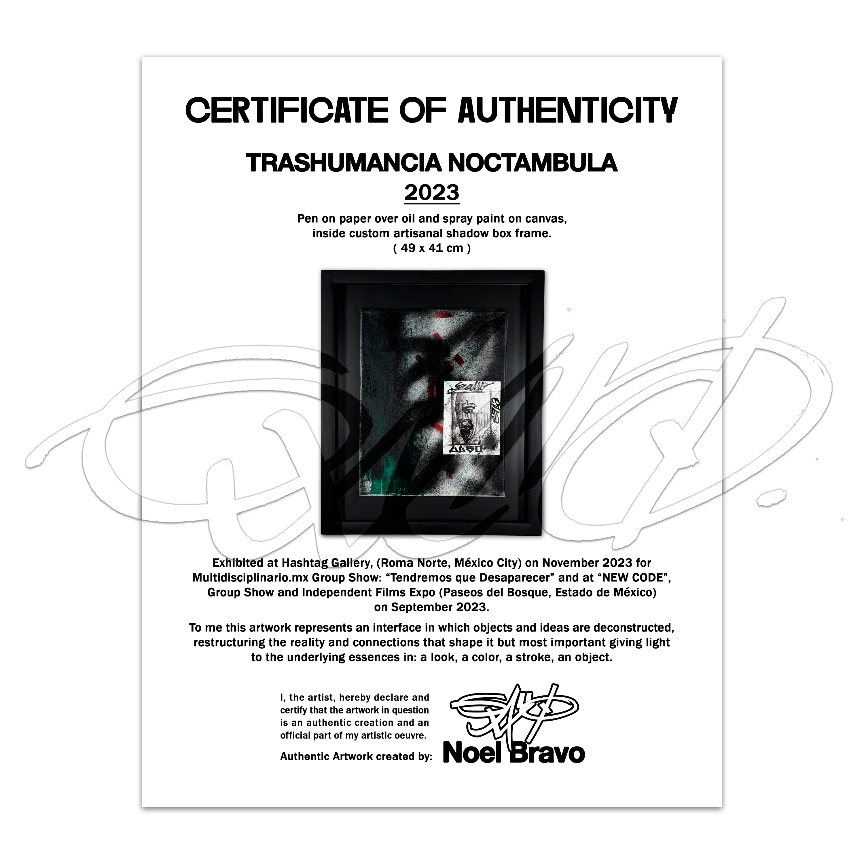 TRASHUMANCIA NOCTAMBULA