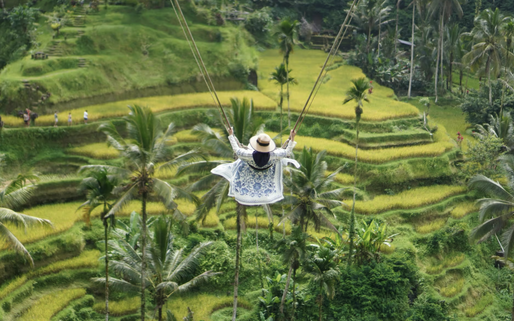 Balançoire à Bali avec cascades, rizières en terrasse et forêt des singes