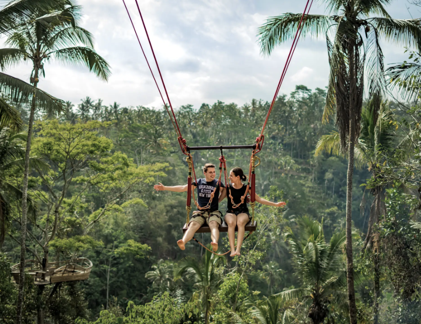 Balançoire à Bali avec cascades, rizières en terrasse et forêt des singes