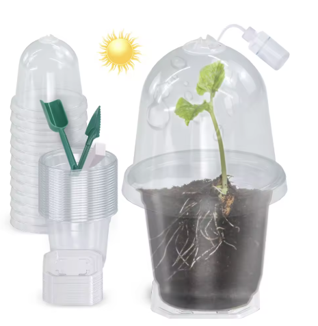 Mini Greenhouse Starter Kit