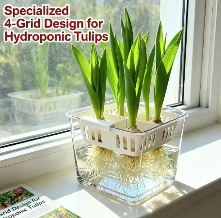 4-Grid Hydroponic Tulip Planter