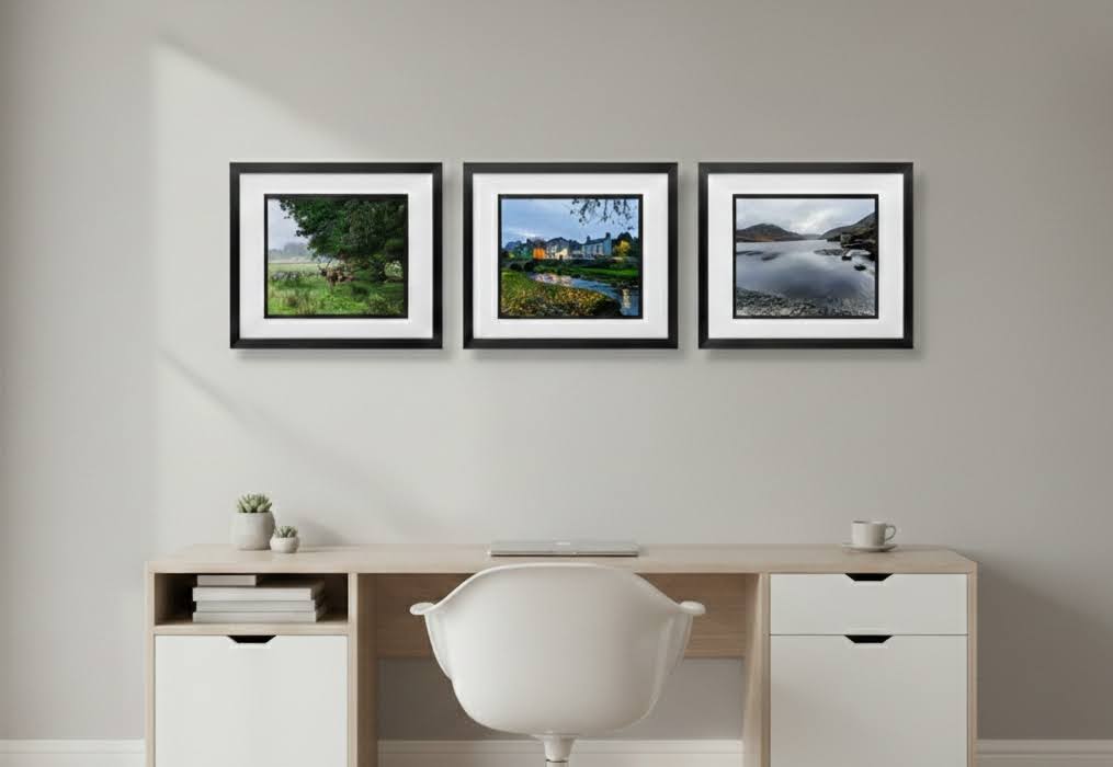 Hand Framed 'Warm Nature Trio - Set of 3 Prints Special'