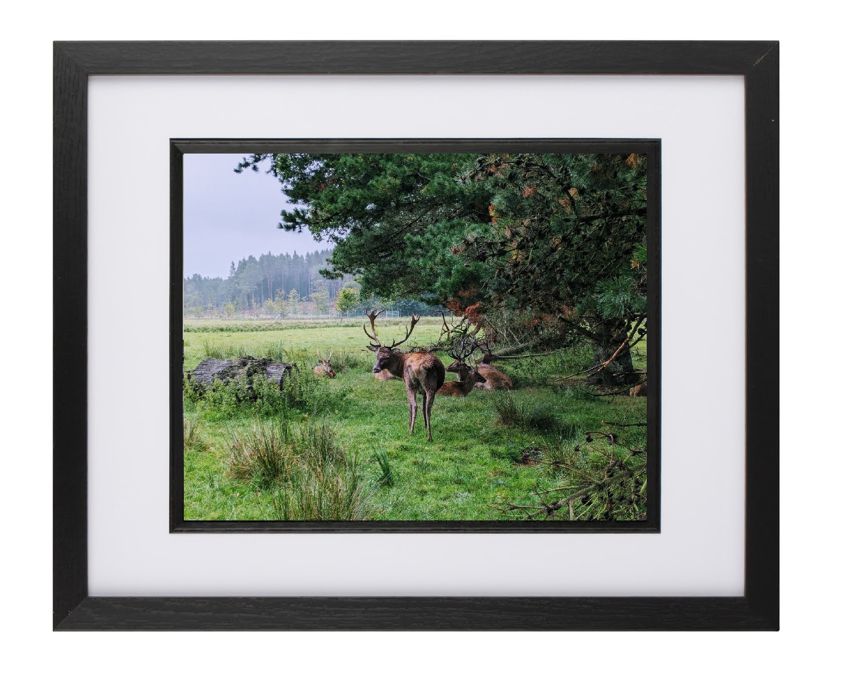 Hand Framed 'Warm Nature Trio - Set of 3 Prints Special'