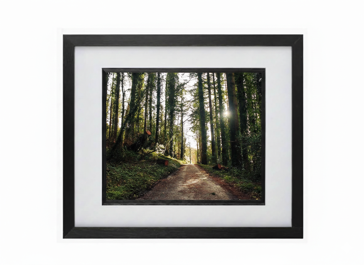 Hand Framed 'The Whispering Path of Kilbroney Forest'