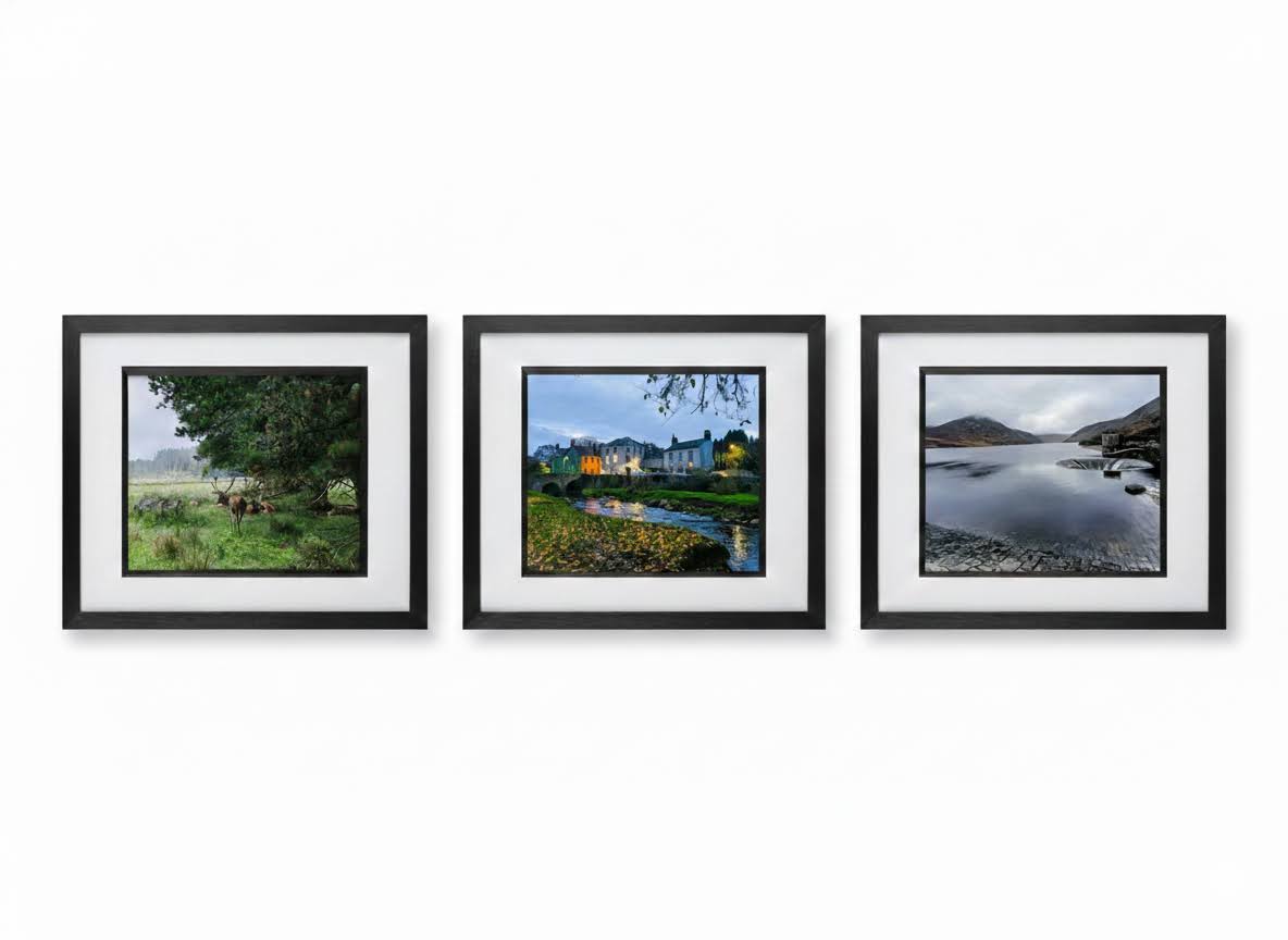 Hand Framed 'Warm Nature Trio - Set of 3 Prints Special'