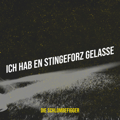 "ICH HAB EN STINGEFORZ GELASSE" SONG l DIGITAL DOWNLOAD (Mp3 + HQ WAV) l Die Schlombefigger l Deutsche Comedy Songs