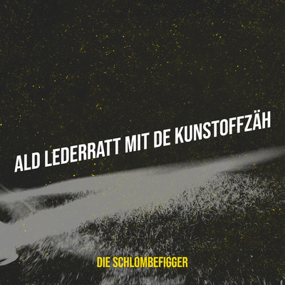 "ALT LEDERRATT MIT DE KUNSTOFFZÄH " SONG l DIGITAL DOWNLOAD (Mp3 + HQ WAV) l Die Schlombefigger l Deutsche Comedy Songs