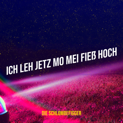 "ICH LEH JETZ MO MEI FIEß HOCH" SONG l DIGITAL DOWNLOAD (Mp3 + HQ WAV) l Die Schlombefigger l Deutsche Comedy Songs