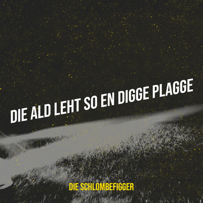"DIE ALT LEHT SO EN DIGGE PLAGGE" SONG l DIGITAL DOWNLOAD (Mp3 + HQ WAV) l Die Schlombefigger l Deutsche Comedy Songs
