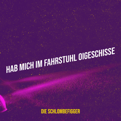 "HAB MICH IM FAHRSTUHL OIGESCHISSE" SONG l DIGITAL DOWNLOAD (Mp3 + HQ WAV) l Die Schlombefigger l Deutsche Comedy Songs