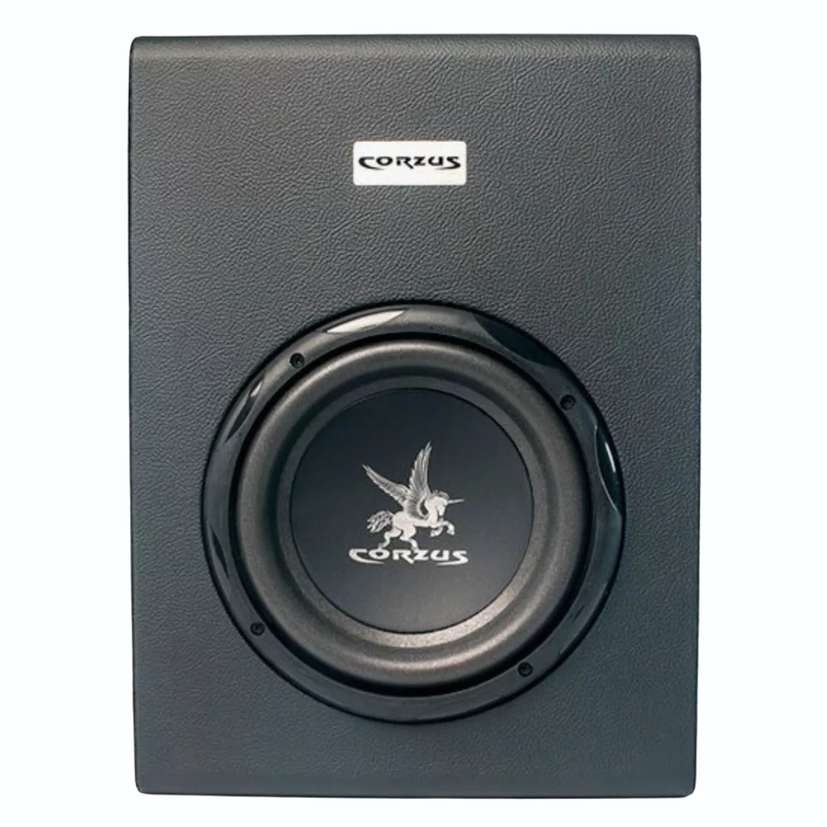 Caixa Amplificada 8 Polegadas Slim Corzus Cxs 200