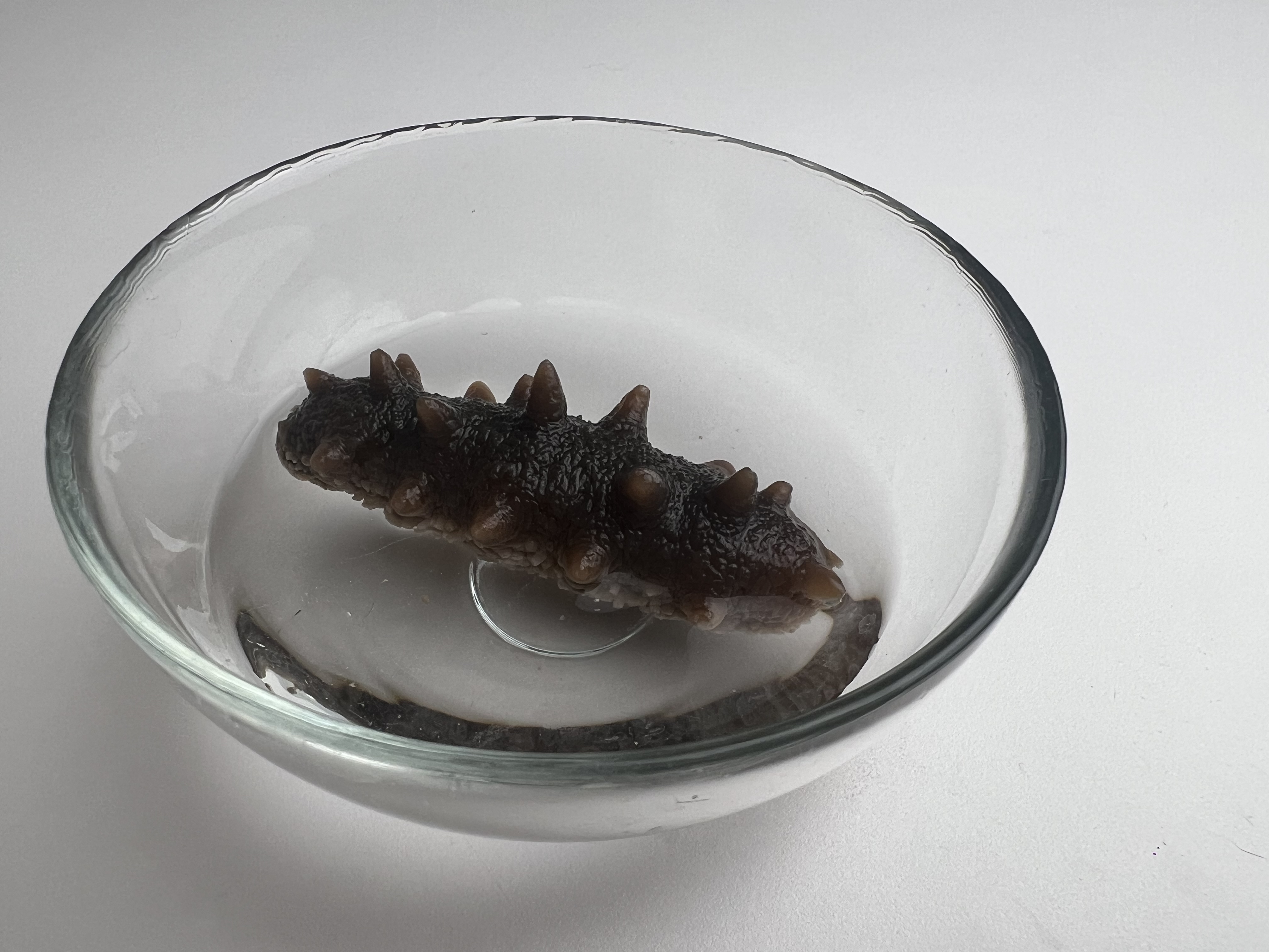 遼寧省大連海参