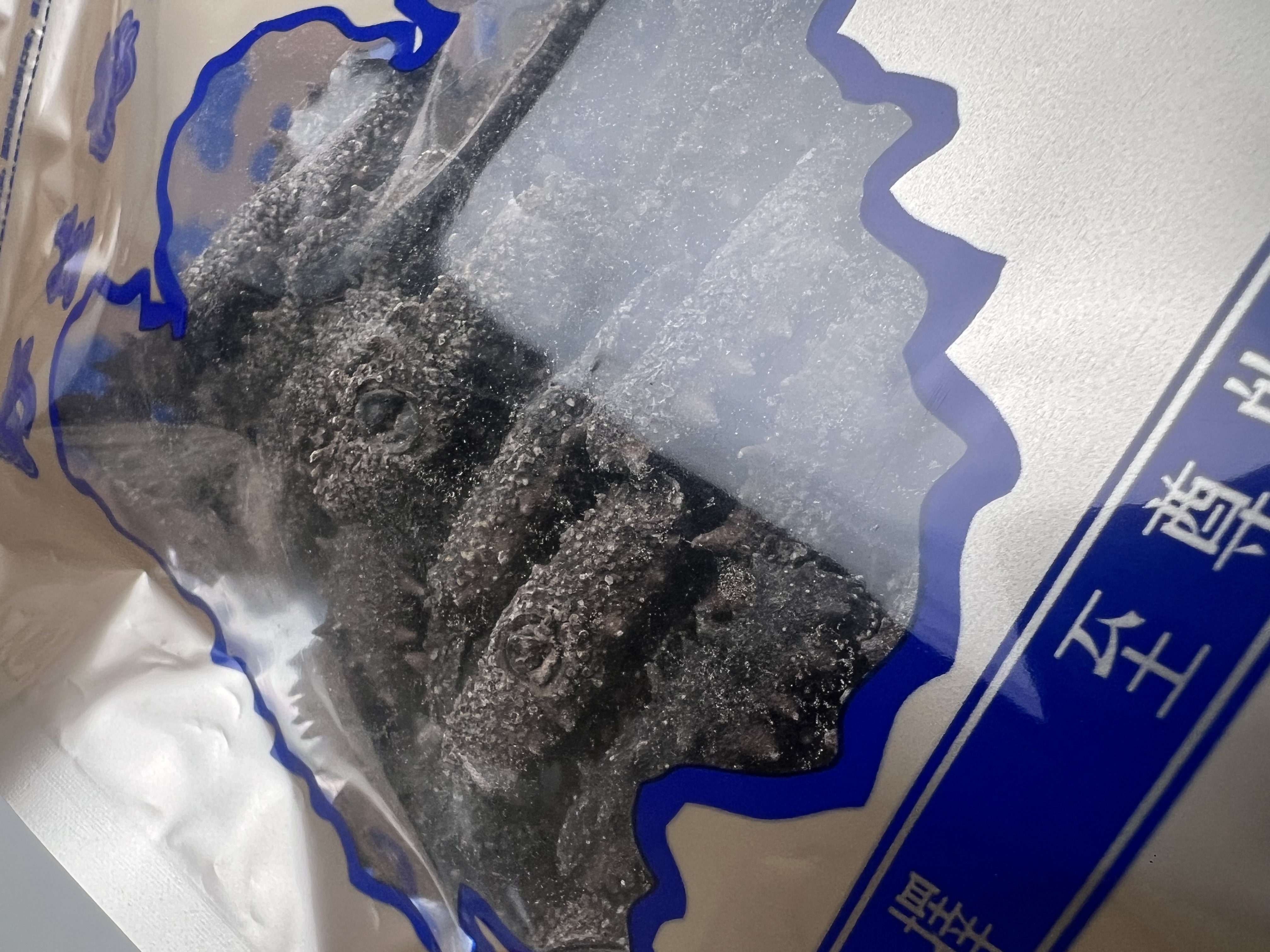 遼寧省大連海参