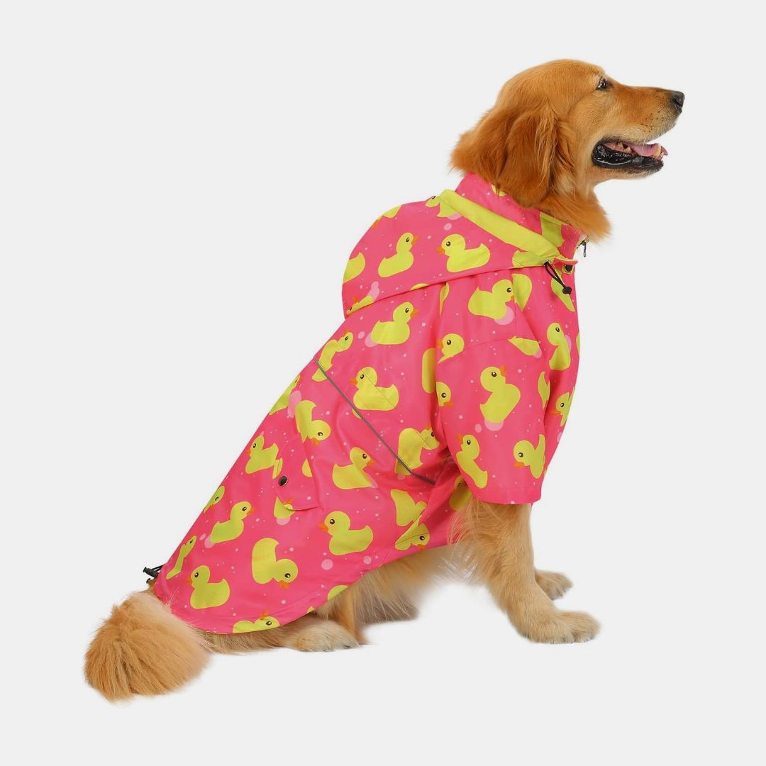 Sacos e impermeables perro