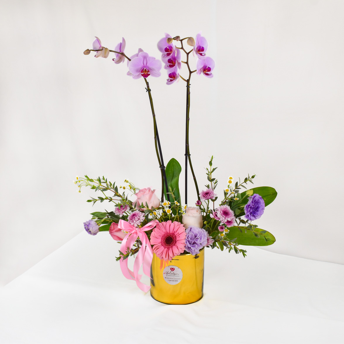 Jardín con orquídea