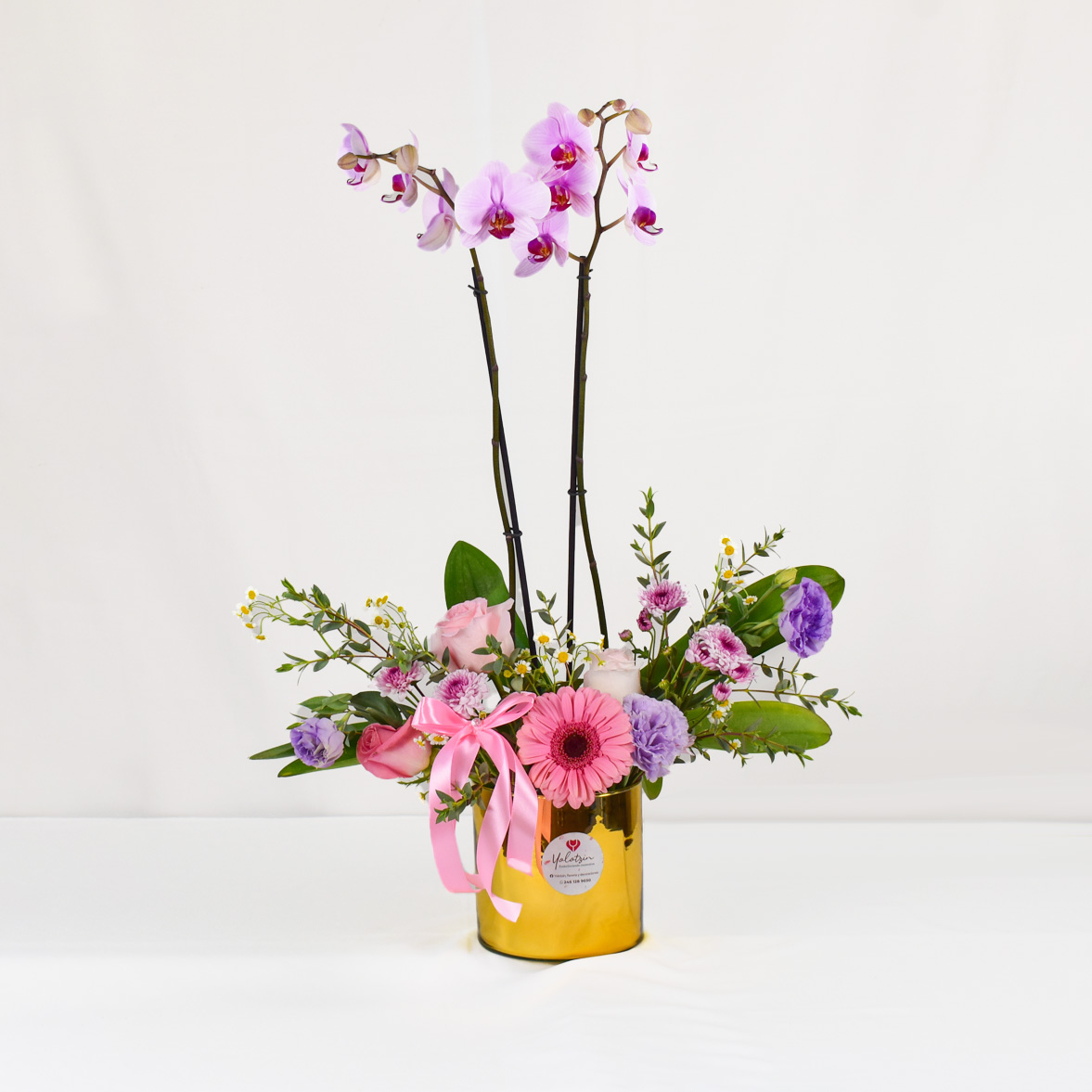 Jardín con orquídea