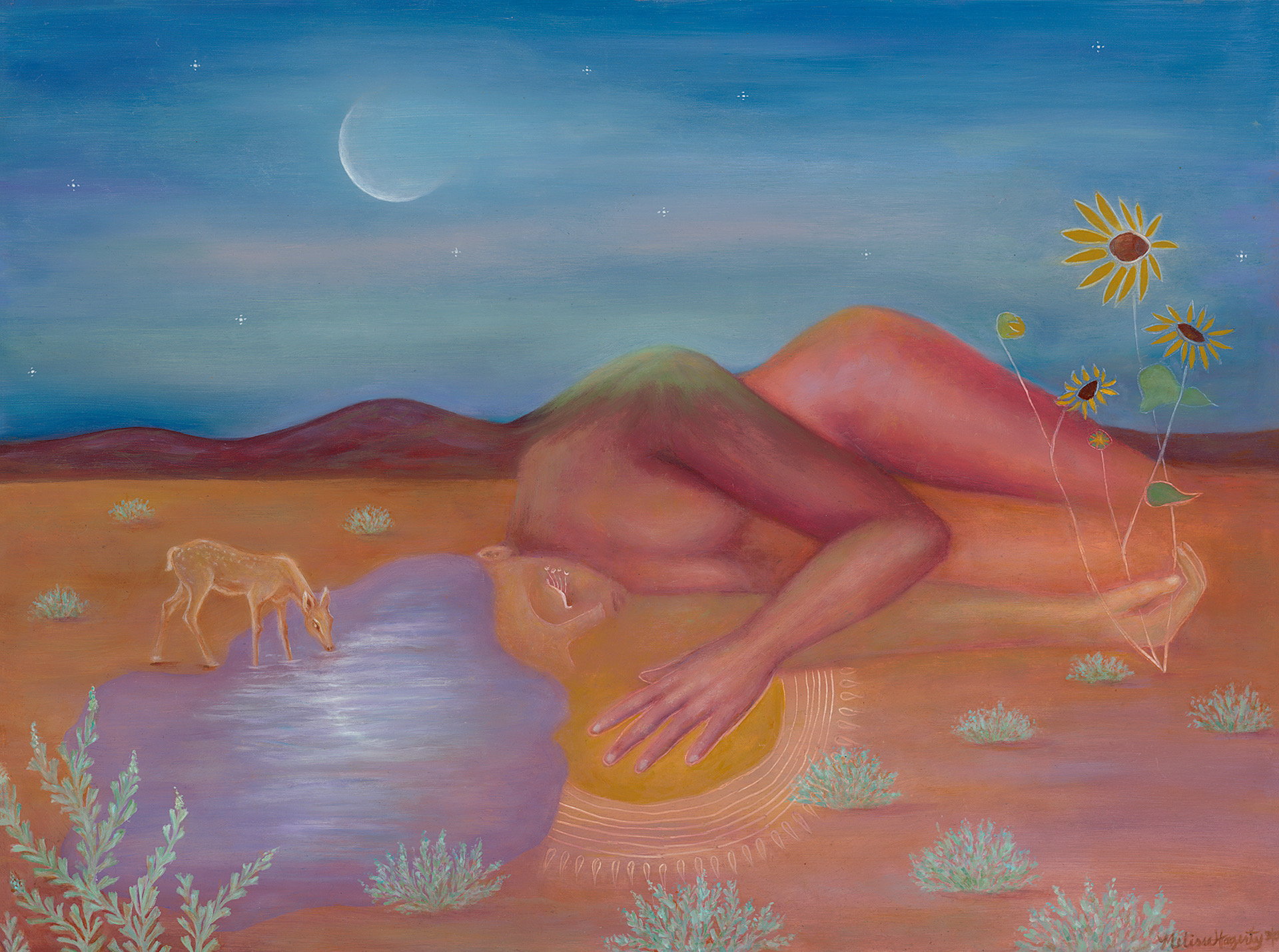 Stars Changing Form - Melissa Hagerty