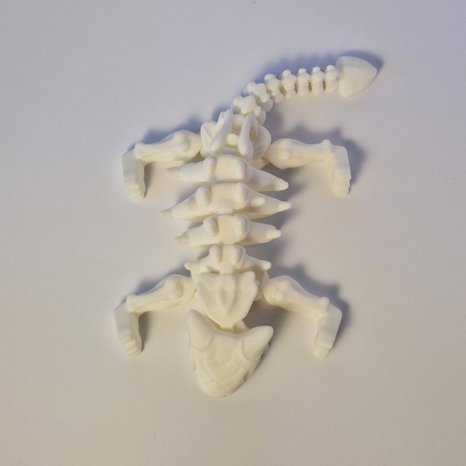 Drakono skeletas – 3D spausdintas kolekcinis modelis