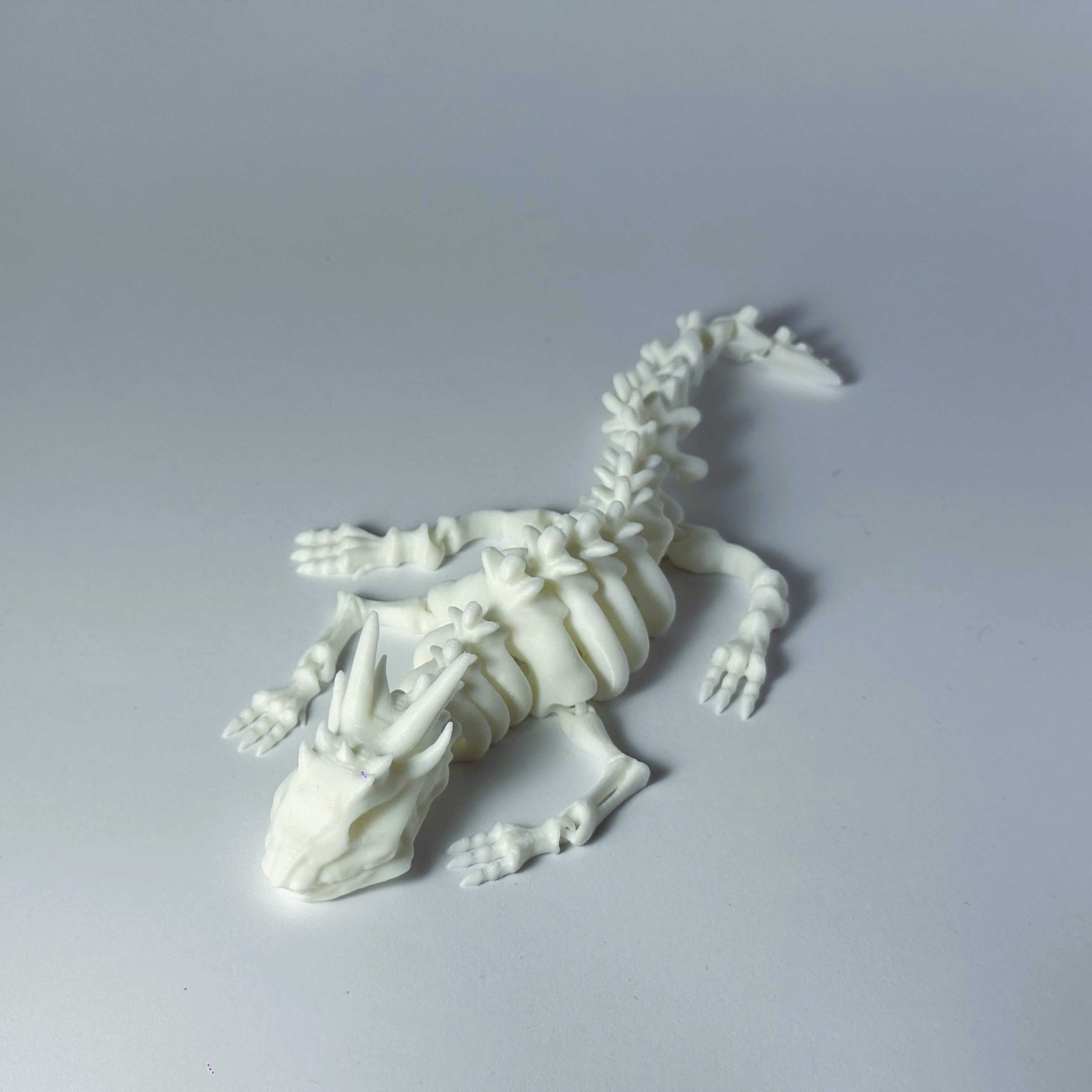 Drakono skeletas – 3D lankstus kolekcinis modelis