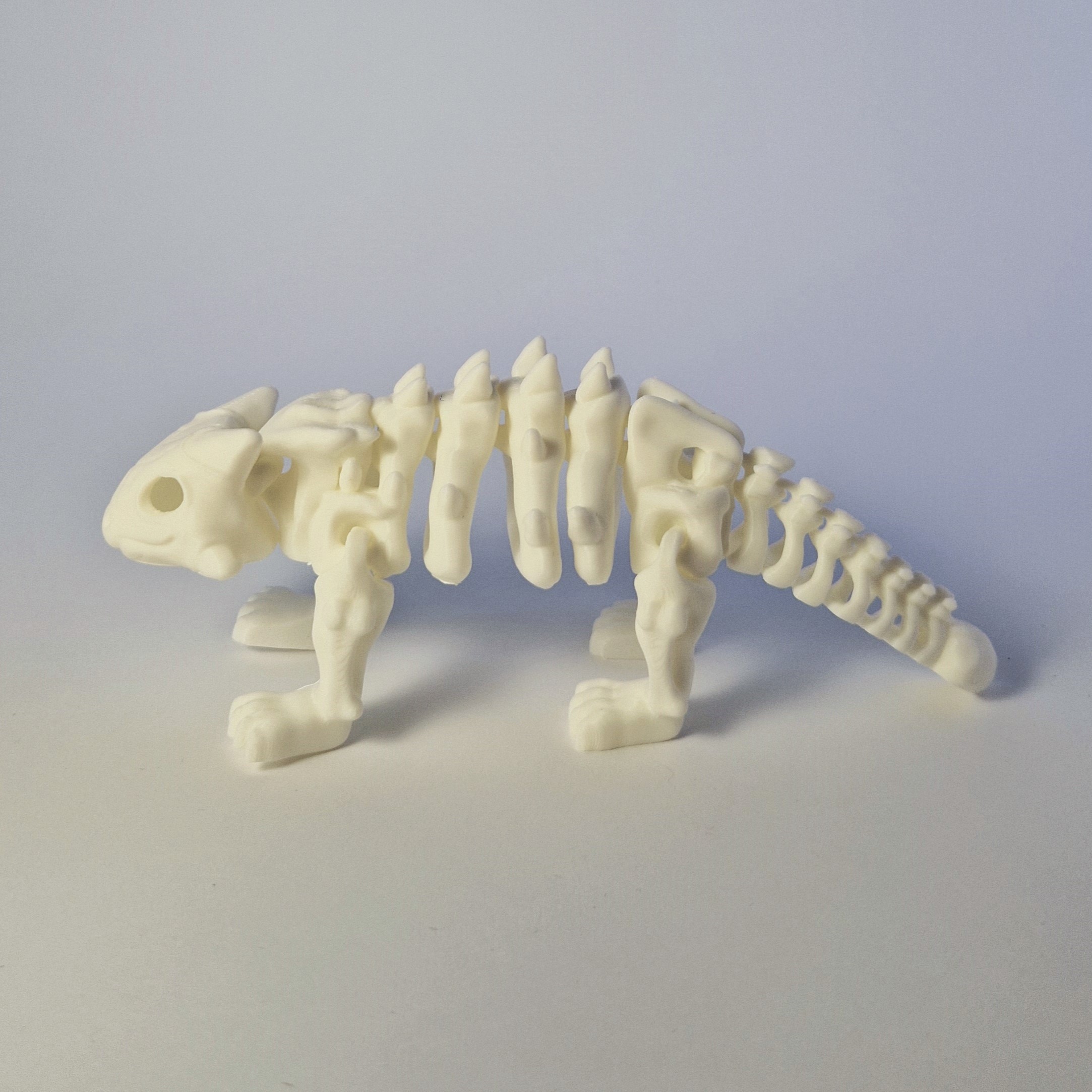 Drakono skeletas – 3D spausdintas kolekcinis modelis