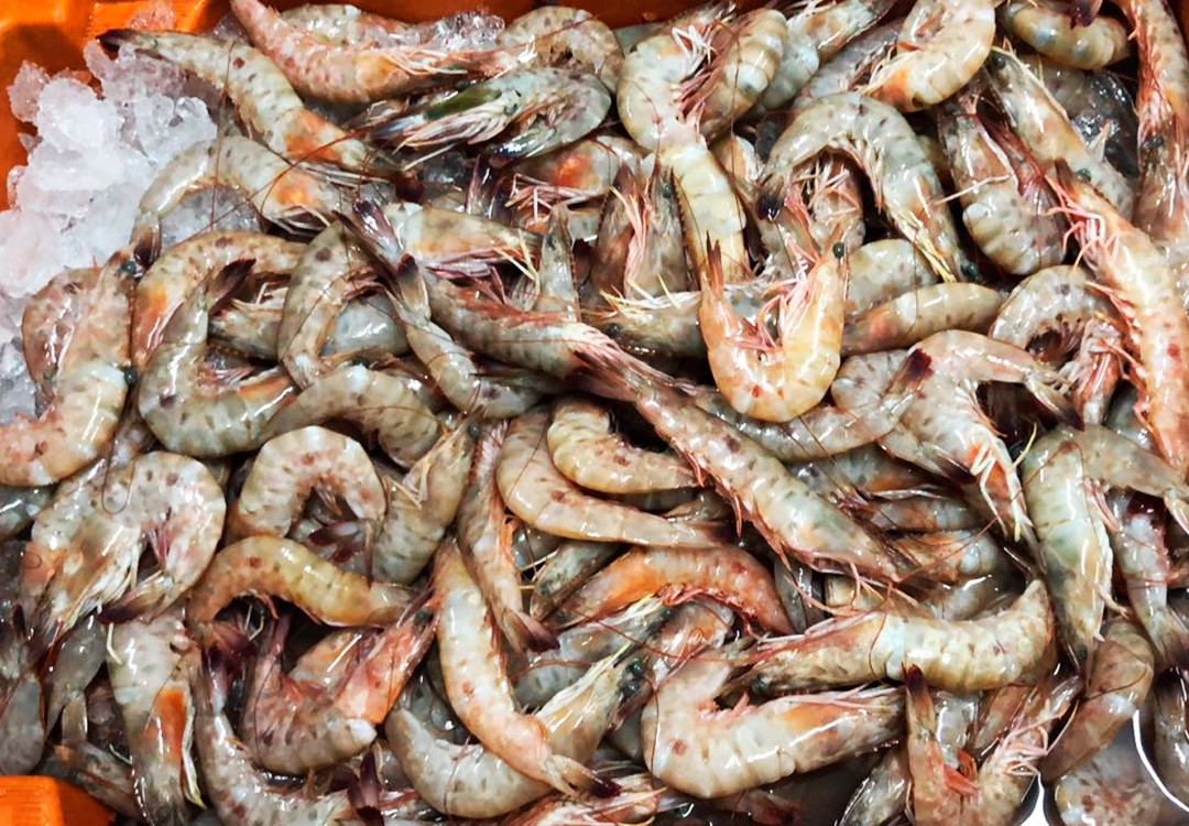 Camarão Rosa (Tamanho G)