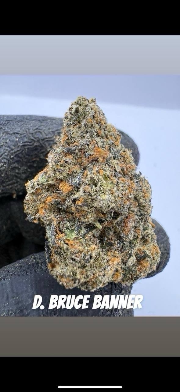 🇺🇸 Cali Exotic Mid 